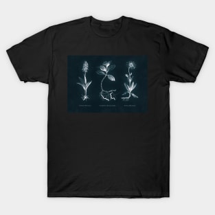 Cyanotype - Triptych 01 T-Shirt